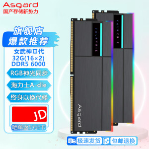 阿斯加特(Asgard)台式机内存条适配黑神话悟空海力士颗粒DDR5女武神二代瓦尔基里RGB马甲灯条 32G 6000(16G*2)黑A-die C28