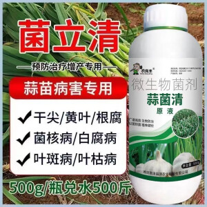 农良丰蒜菌清原液正品大蒜种植专用叶面肥微生物肥生根养根粗壮水溶肥料 蒜菌清500克/1瓶