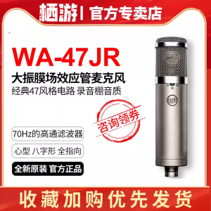 WARM AUDIOWarm Audio WA-47jr话筒录音棚专业人声乐器直播大振膜电容麦克风