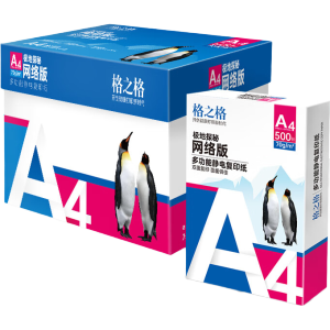 格之格 A4打印纸 70g复印纸 A4纸双面打印纸 光滑不易卡纸 500张/包 5包1箱【考试考研考公复习】