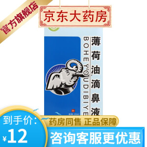 药健百瑞 薄荷油滴鼻液20ml 1盒装