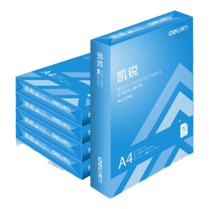 得力（deli）凯锐A4打印纸 双面加厚复印纸白纸 草稿纸 办公用纸  A4 5包/2500张【常规70g】