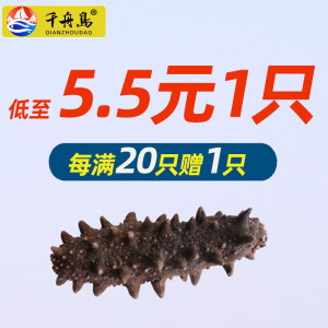 千舟岛单只淡干小海参家用 2.5-3cm1只 每满20只送1只