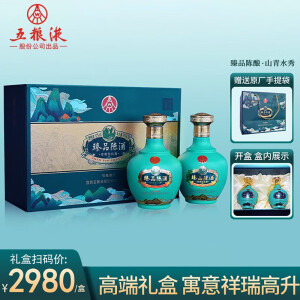 臻品陈五粮液股份出品 52度浓香型白酒 臻品陈山青水秀 500ml*2瓶礼盒装 52度 500mL 2瓶 臻品陈酒 山青水秀