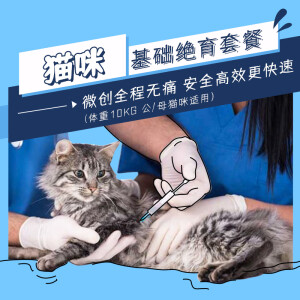 到院服务 猫咪绝育手术套餐1次 含生化检查6-10项 公猫 10kg以内