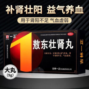 [一正] 敖东壮肾丸 9g*10丸/盒 用于补肾壮阳益气养血肾阳不足气血虚弱 5 盒 补肾壮阳