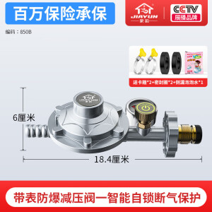 家韵液化气防爆减压阀家用煤气罐安全阀自动关闭低压阀燃气煤气灶 带压力表加厚防爆 漏气自闭