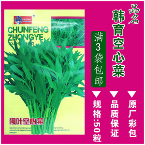 四季蔬菜种子南北方农家阳台盆栽种菜香菜生菜油菜原厂易种蔬菜籽 韩育柳叶空心菜50粒