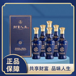 财富人生 五粮液股份公司出品 财富人生蓝钻 浓香型白酒 52%vol 500mL 6瓶