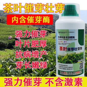 茶叶催芽素叶面肥茶树专用催芽剂920暴芽增产增厚素肥料催芽药剂 500克