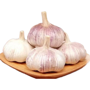 精品金乡紫皮大蒜新鲜干蒜大蒜头蔬菜调料调味大果4.5-5cm 精品大蒜3头【100克】