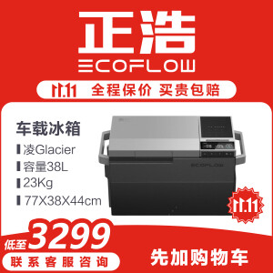 正浩ECOFLOW 凌 车载冰箱38升 户外便携式露营冷冻冷藏双温可制冰 凌 车家两用 38L