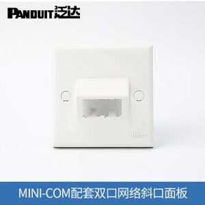 泛达（PANDUIT）网络信息插座网口网络面板 Mini-Com单口双口四口平口斜口面板 二孔86斜口面板白色-CFP86S2IWY