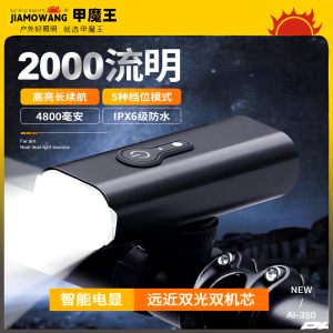 天颛甲魔王骑行灯自行车灯 夜行灯2000流明前灯1500流明下挂超长续航 【旗舰款】双灯2000流明灯芯+10小时续航 【铝合金外壳】风雨无阻