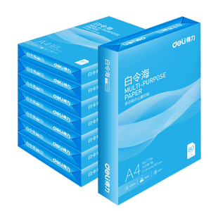 得力（deli）白令海A4打印纸 80g500张*8包一箱 双面加厚 高性价比复印纸 整箱4000张【经济热销】