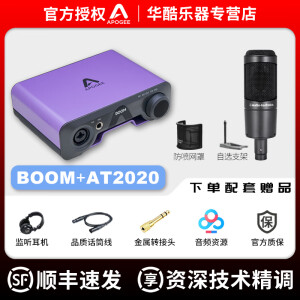 怡同科技（YEAHTONE）APOGEE BOOM专业外置声卡DSP效果器直播乐器录音2进2出音频接口 BOOM声卡+铁三角AT2020麦克风