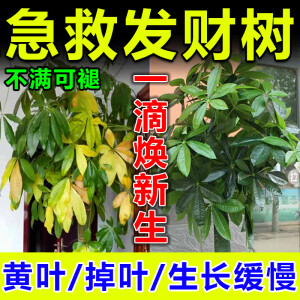 发财树营养液叶子发黄掉叶烂根专用营养液家用绿植物促生长专用肥 1瓶【500ml】一斤装