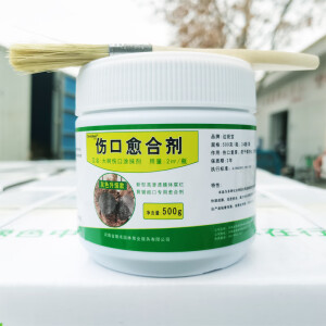 达锐宝树木伤口愈合剂植物涂抹剂果树涂补剂愈合膏树杆愈伤膏大树涂膜剂 灰色500g/瓶 瓶装+赠品刷子（1瓶送1刷子）