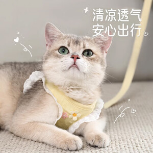 华元宠具猫咪牵引绳防挣脱背心式溜猫绳牵引绳可调节小型犬狗狗外出专用绳 奶油黄 S小号 建议3-5斤