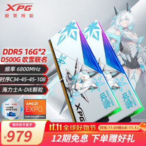 XPG威刚龙耀D500G DDR5内存条16/32/64G华硕吹雪姬ROG姬联名套条RGB灯条台式电脑海力士颗粒电竞超频 D500G 吹雪联名 16G*2 6800 C34