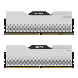 光威（Gloway）32GB(16GBx2)套装 DDR5 6000 台式机内存条 龙武系列 三星颗粒 CL38