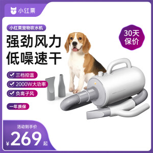 小红栗吹水机宠物吹风机狗狗吹水机吹毛吹干神器低噪大功率大型犬Mini白