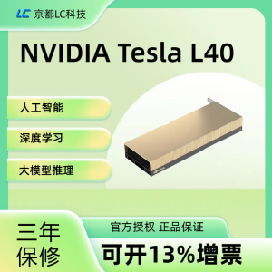 英伟达（NVIDIA）Tesla系列 Ai深度学习GPU训练推理大模型显卡 Tesla L40 48G