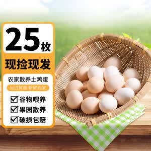 筱诺 农家散养土鸡蛋笨鸡蛋草鸡蛋谷物饲养柴鸡蛋 25枚
