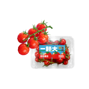 一颗大 红樱桃番茄串 418g*2盒 水果西红柿圣女果 源头直发包邮