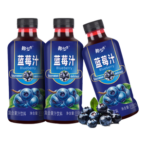 趣小馋 蓝莓汁 果味果汁饮料 小瓶装 310mL*1瓶