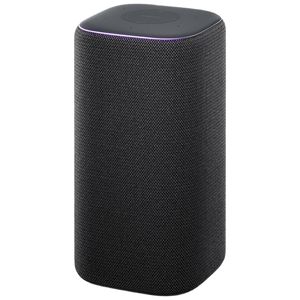 小米（MI）Xiaomi智能音箱Pro 超级小爱智能音箱 小米15Ultra&SU7Ultra发布会音箱 AI大模型问答 蓝牙音箱