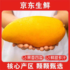 疆域采虹正宗芒果玉芒新鲜青皮芒果生鲜水果整箱 4斤特级大果 单果200g+净重3斤+