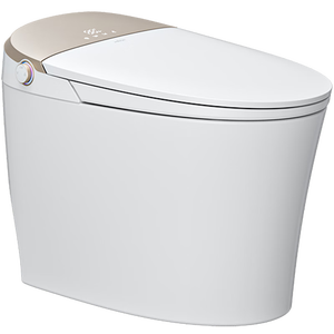 恒洁（HEGII）智能马桶H5Pro(26版)感应翻盖泡沫盾带水箱DCE717B-305免费送装