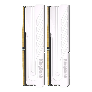 金百达（KINGBANK）16GB(8GBX2)套装 DDR4 3200 台式机内存条 银爵 C16 适配黑神话悟空