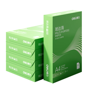 得力（deli）班达海A4打印纸 70g克500张*5包一箱 双面复印纸 高性价比草稿纸 整箱2500张ZF352