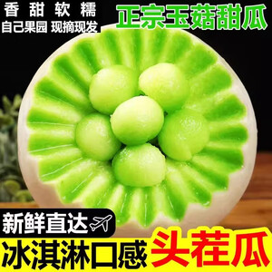 山东玉菇冰淇淋甜瓜 净重4.5-5斤 单果400g起新鲜水果源头直发 净重4.5-5斤（2-3个装）