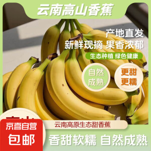 高山甜香蕉新鲜现摘自然熟青皮香蕉发货2-3天放熟吃 高山香蕉净重 9斤
