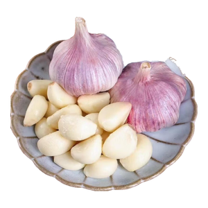 大蒜头出口品质网兜紫蒜蔬菜调料新鲜大果烧烤火锅食材 山东【精品网兜装】1斤装 净重450g