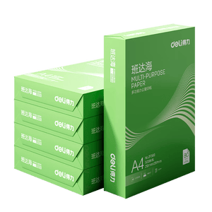 得力（deli）班达海A4打印纸 80g500张*8包一箱 加厚双面复印纸 高性价比草稿纸 整箱4000张ZF364