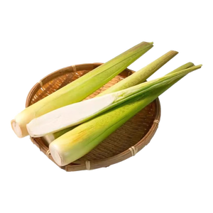 【现采现发】浙江新鲜茭白时令蔬菜带壳茭白高笋应季美食自种包邮 现采带壳茭白1.6-2斤 净重