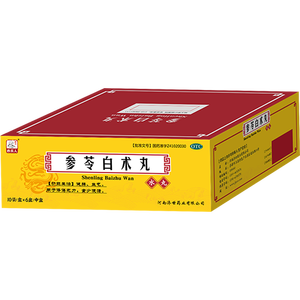 药王孙真人 参苓白术丸60袋 茯苓参苓白术散正品颗粒药丸 健脾祛湿去体内湿气重 调理脾胃虚弱补脾健胃