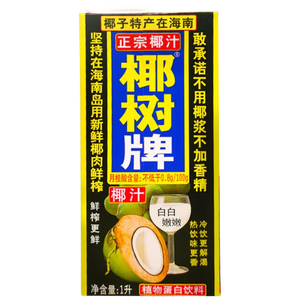 椰树牌椰汁 1L*1盒 植物蛋白饮料 正宗海南特产  中秋送礼