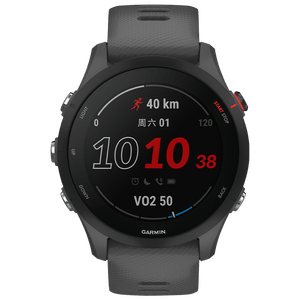佳明（GARMIN）Forerunner255心率血氧专业跑步户外运动智能手表神秘灰生日礼物
