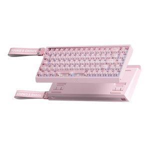 迈从（MCHOSE）Ace 68 V2磁轴键盘Gus同款RT电竞游戏低延迟60pro机械有线68键配列FPS双驱动无畏契约 Ace 68 V2 超竞版雾透粉 星环磁轴+RT键