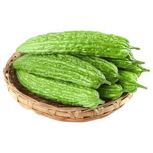 京喜加【东东买菜】山东苦瓜新鲜当季绿色凉瓜农家时令蔬菜便宜蔬菜 苦瓜 2斤