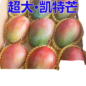 集南鲜 攀枝花凯特芒果 现摘青皮黄皮甜心芒果热带芒果新鲜时令生鲜水果 含箱5斤  400g+ 净重4.5斤