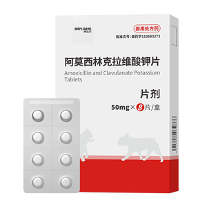 拜达尔【速喏】同款阿莫西林克拉维酸钾片宠物猫咪狗消炎药感冒咳嗽鼻支