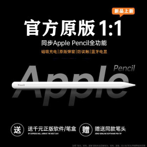 applepencil二代平替电容笔华强北触控笔防误触倾斜压感磁吸充电 pencil二代-pro|Air4/5|mini6