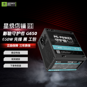 影驰升技G650 GL750  500W 750W 600W 650W 台式机电源 影驰守护者G650黑色-650W先锋版工包