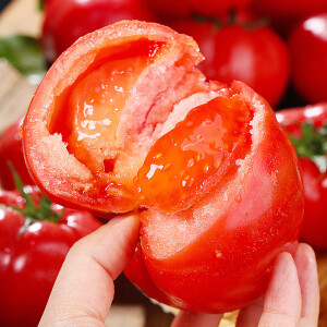 京地达萄鲜客山东口感番茄西红柿4.5斤生吃自然熟现摘新鲜番茄源头直发